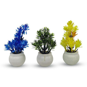 vibrant Multicolor Flower Pot Planter Set