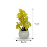 vibrant Multicolor Flower Pot Planter Set