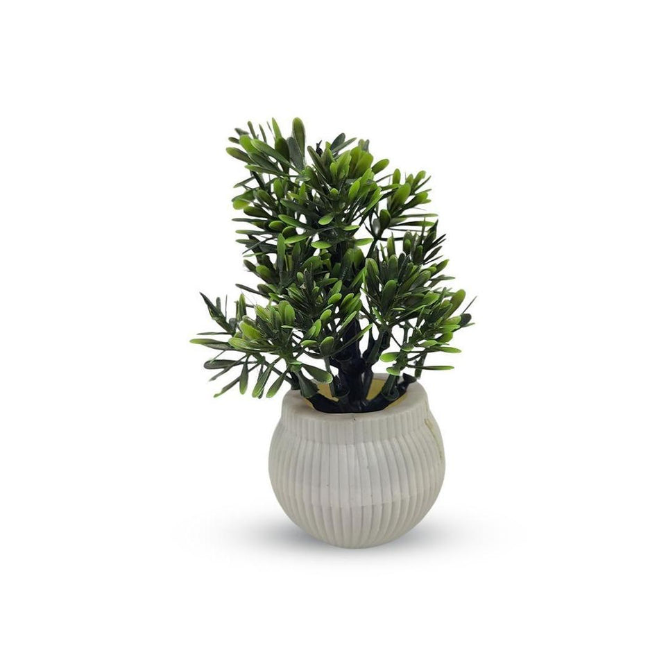 vibrant Multicolor Flower Pot Planter Set
